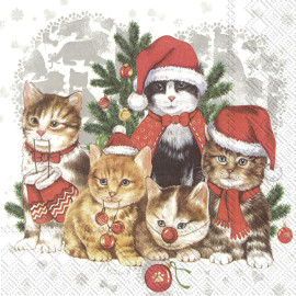 IHR CAT - MAS Vánoce papírové ubrousky