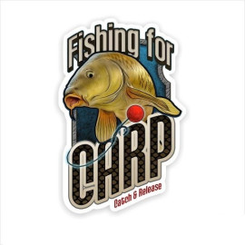 4anglersdesign Rybářská samolepka na auto Fishing for carp