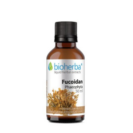 Fucoidan tinktura Bioherba 50ml