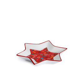 Egan Mísa vánoční hvězda  červená 16 x 16 cm