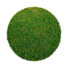 Betap koberce Umělá tráva Botanic kruh - 300x300 (průměr) kruh cm