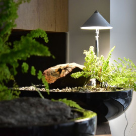 VENSO EcoSolutions SUNLiTE bílá 7W - LED osvětlení pro růst pokojových rostlin