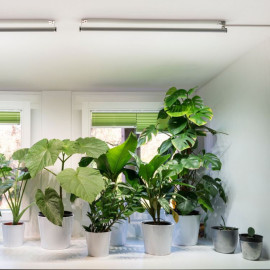 VENSO EcoSolutions LED lišta 60 cm k osvětlení vertikálních zahrad a rostlin v interiéru