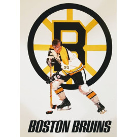 Plechová cedule Boston Bruins Velikost: A4 (30 x 20 cm)