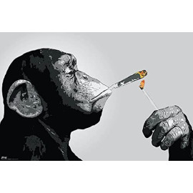 Plechová cedule Smoking Monkey Velikost: A4 (30 x 20 cm)