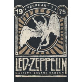 Plechová cedule Led Zeppelin Velikost: A5 (20 x 15 cm)