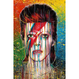 Plechová cedule David Bowie II Velikost: A5 (20 x 15 cm)
