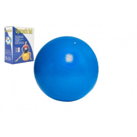 UNISON Gymnastický míč 65cm rehabilitační relaxační v krabici 16x22cm