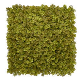 Europe Grass Umělý rostlinný panel KATE MOSS 50 x 50 cm - Panel 50x50