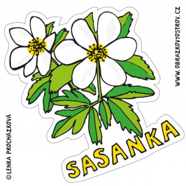 Magnet Sasanka