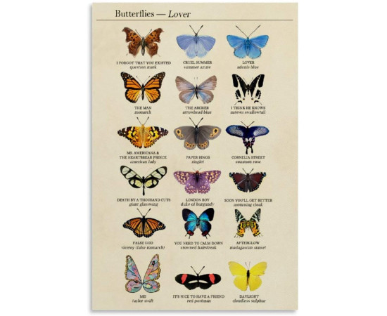 Plechová cedule Motýli Velikost: A5 (20 x 15 cm)