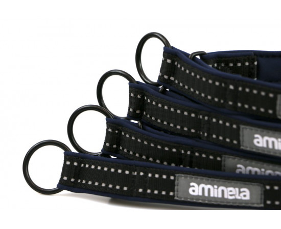 Aminela Sport & City Aminela obojek polostahovací Sport & City 25mm/48cm + 5cm, modrá
