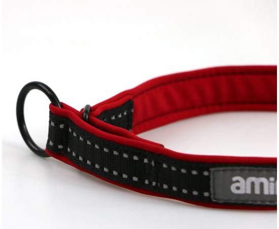 Aminela Sport & City Aminela obojek polostahovací Sport & City 25mm/60cm + 5cm, červená