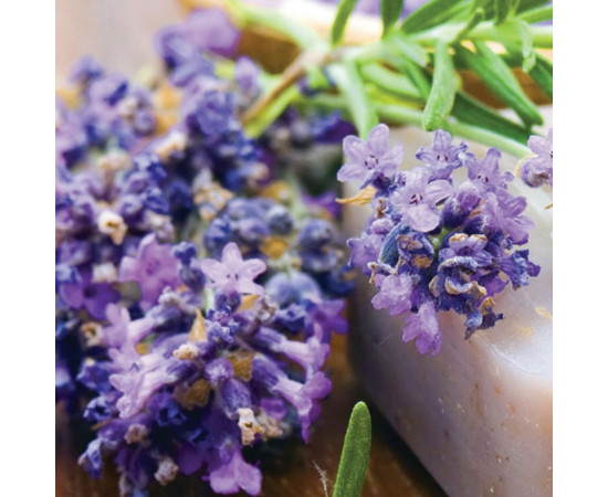 Hloubkově čistící mýdlo s organickým levandulovým olejem Lavender 100g