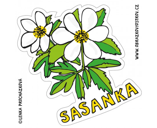 Magnet Sasanka